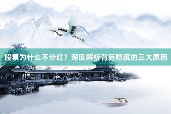 股票为什么不分红？深度解析背后隐藏的三大原因