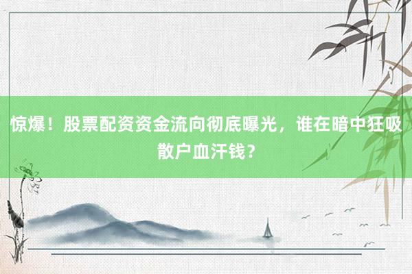 惊爆！股票配资资金流向彻底曝光，谁在暗中狂吸散户血汗钱？