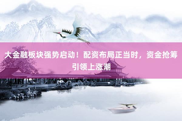 大金融板块强势启动！配资布局正当时，资金抢筹引领上涨潮