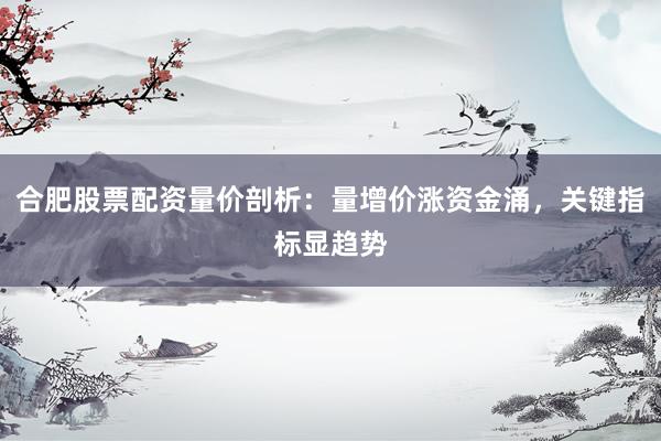 合肥股票配资量价剖析：量增价涨资金涌，关键指标显趋势