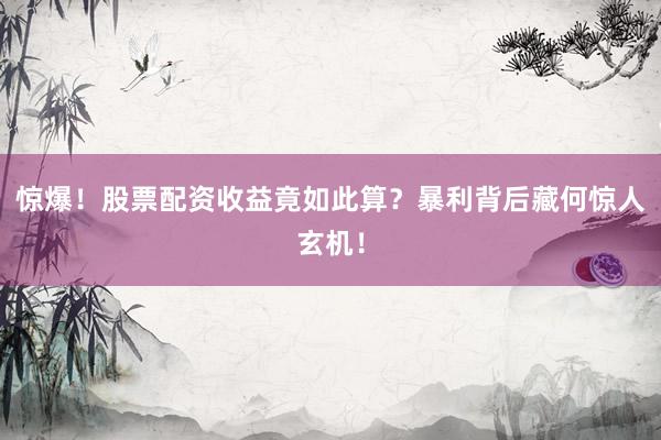 惊爆！股票配资收益竟如此算？暴利背后藏何惊人玄机！