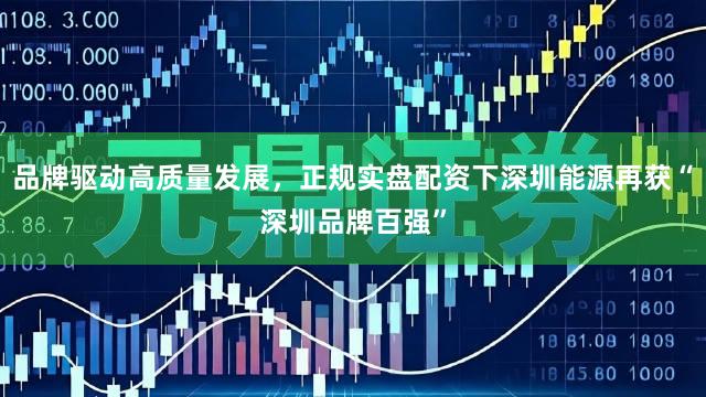 品牌驱动高质量发展，正规实盘配资下深圳能源再获“深圳品牌百强”