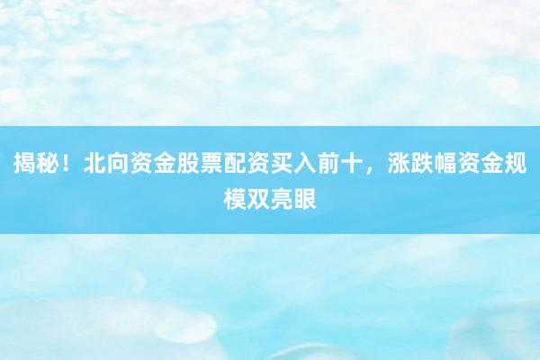 揭秘！北向资金股票配资买入前十，涨跌幅资金规模双亮眼
