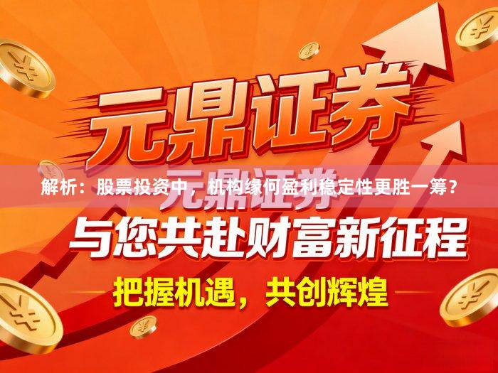 解析：股票投资中，机构缘何盈利稳定性更胜一筹？