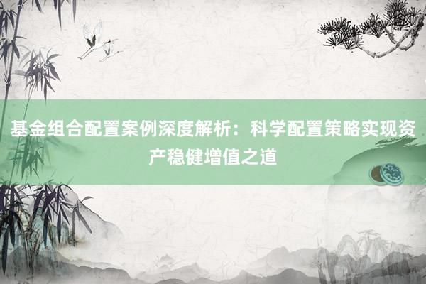 基金组合配置案例深度解析：科学配置策略实现资产稳健增值之道