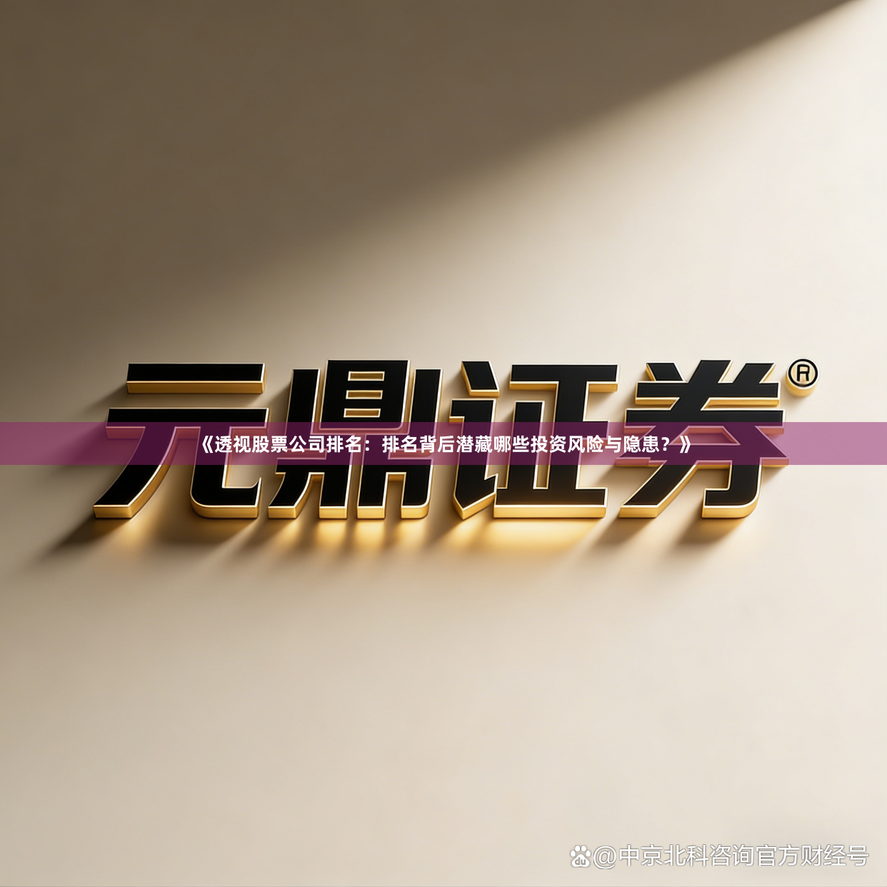 《透视股票公司排名：排名背后潜藏哪些投资风险与隐患？》