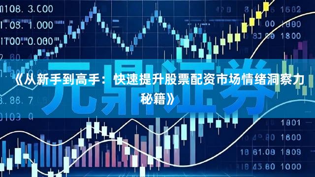 《从新手到高手：快速提升股票配资市场情绪洞察力秘籍》
