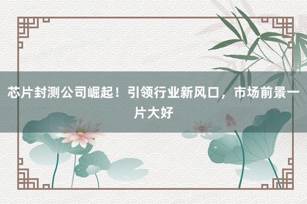芯片封测公司崛起！引领行业新风口，市场前景一片大好