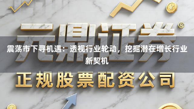 震荡市下寻机遇:透视行业轮动,挖掘潜在增长行业新契机
