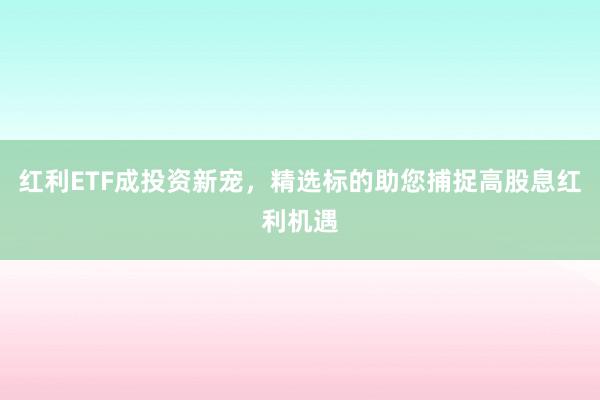 红利ETF成投资新宠，精选标的助您捕捉高股息红利机遇