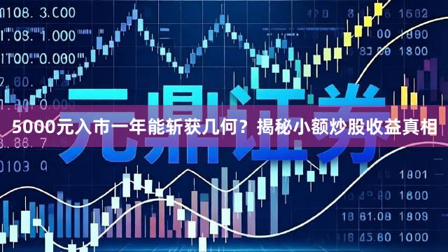 5000元入市一年能斩获几何？揭秘小额炒股收益真相