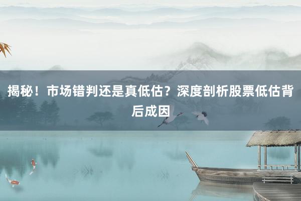 揭秘！市场错判还是真低估？深度剖析股票低估背后成因