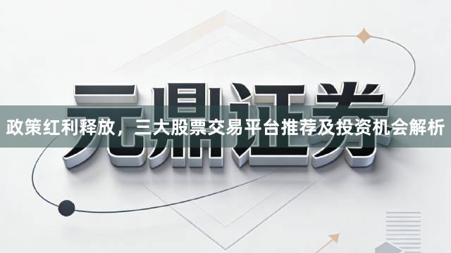 政策红利释放，三大股票交易平台推荐及投资机会解析
