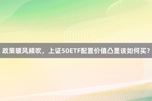 政策暖风频吹,上证50ETF配置价值凸显该如何买?