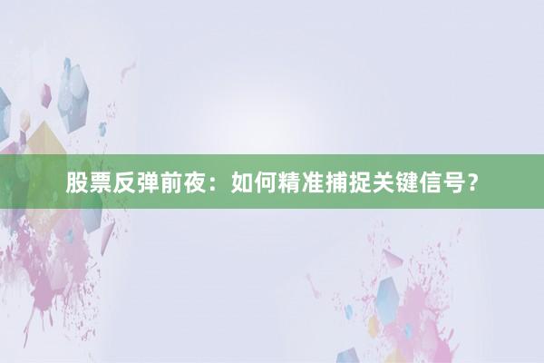 股票反弹前夜：如何精准捕捉关键信号？