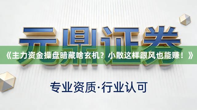 《主力资金操盘暗藏啥玄机？小散这样跟风也能赚！》